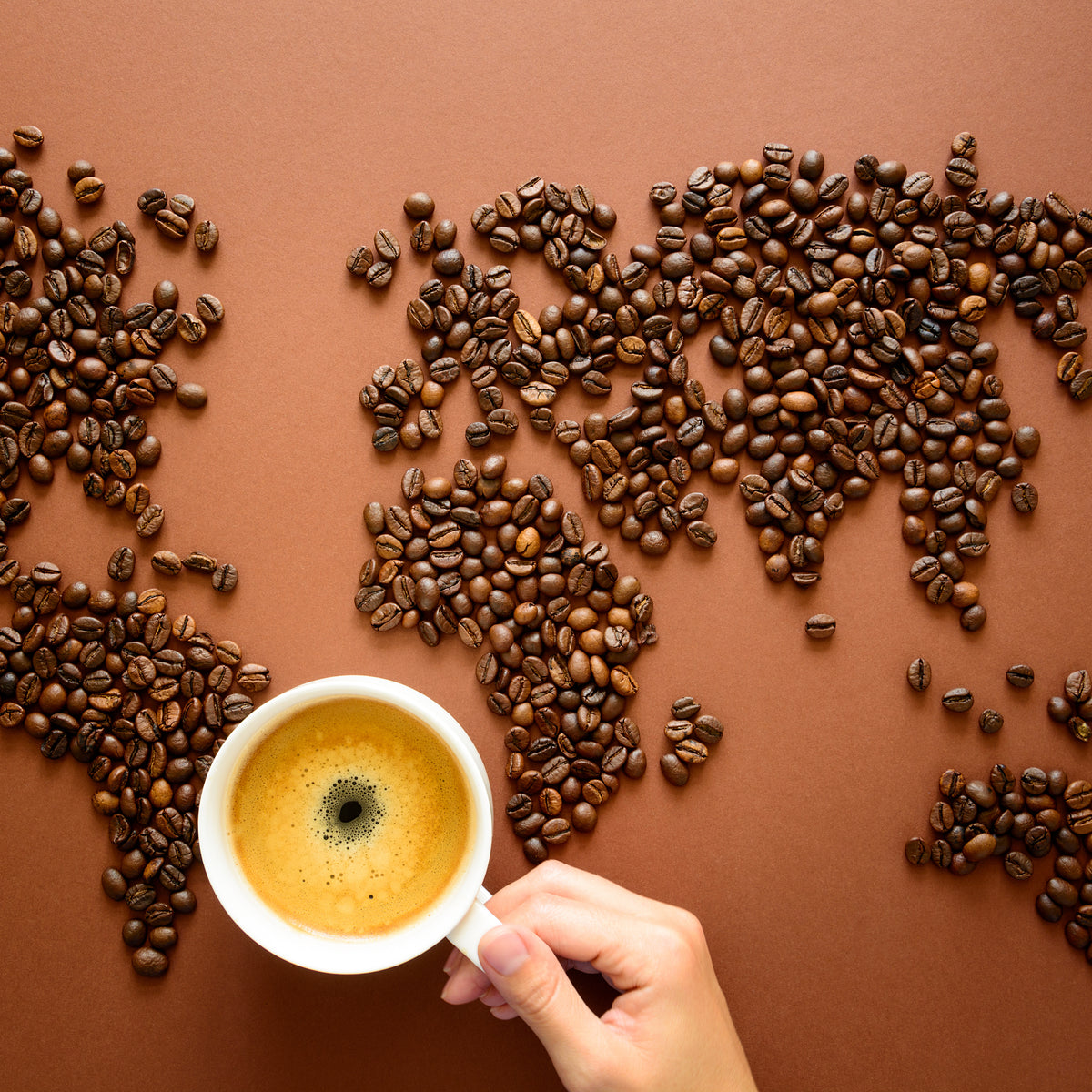 Single Origin Coffee – Jumpy Monkey® Coffee