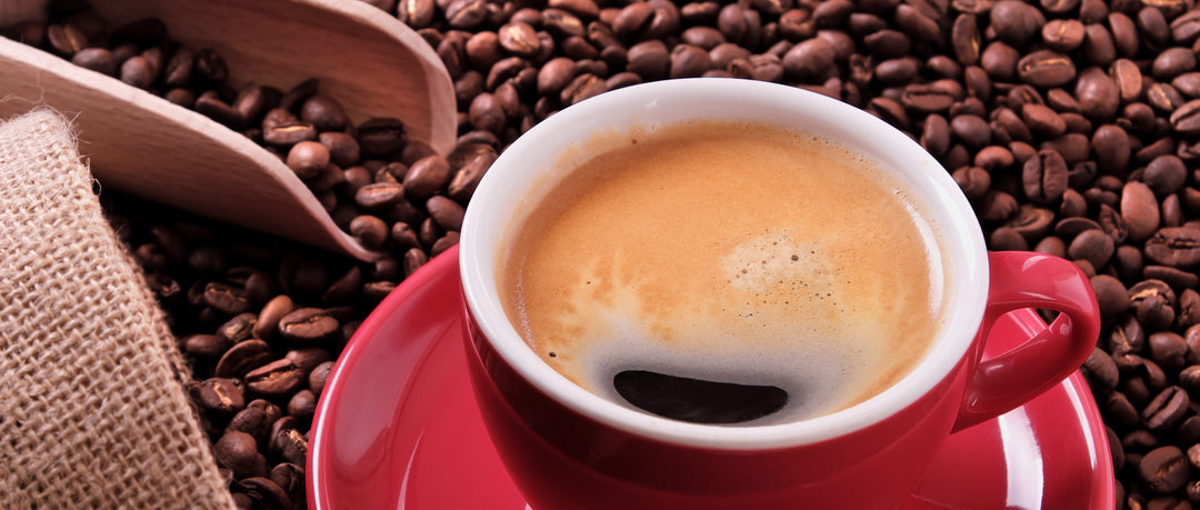 Quick Links for Jumpy Monkey Coffee – Jumpy Monkey® Coffee